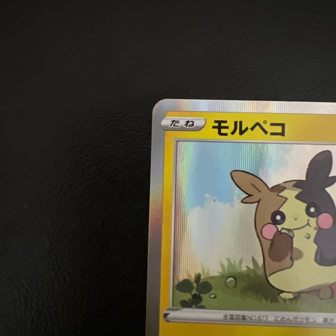 ポケモンカード　モルペコ　2020 プロモ