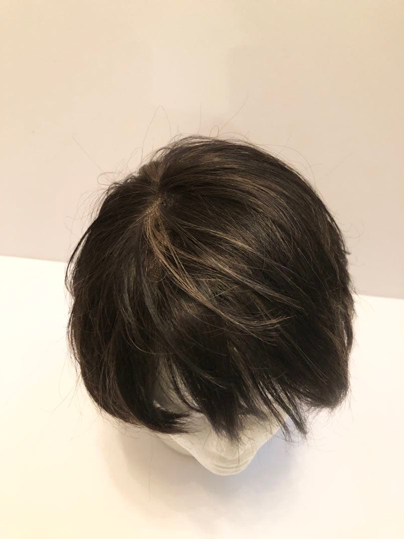 【未使用品】ナオアートウィッグ