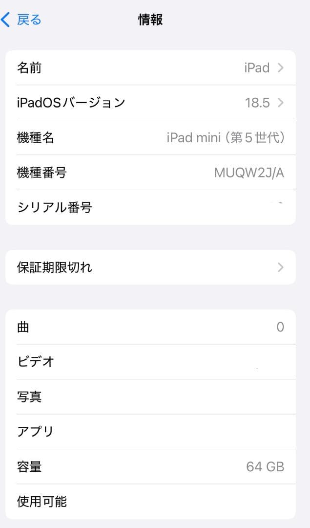 iPad Mini 第5世代スペースグレー 美品
