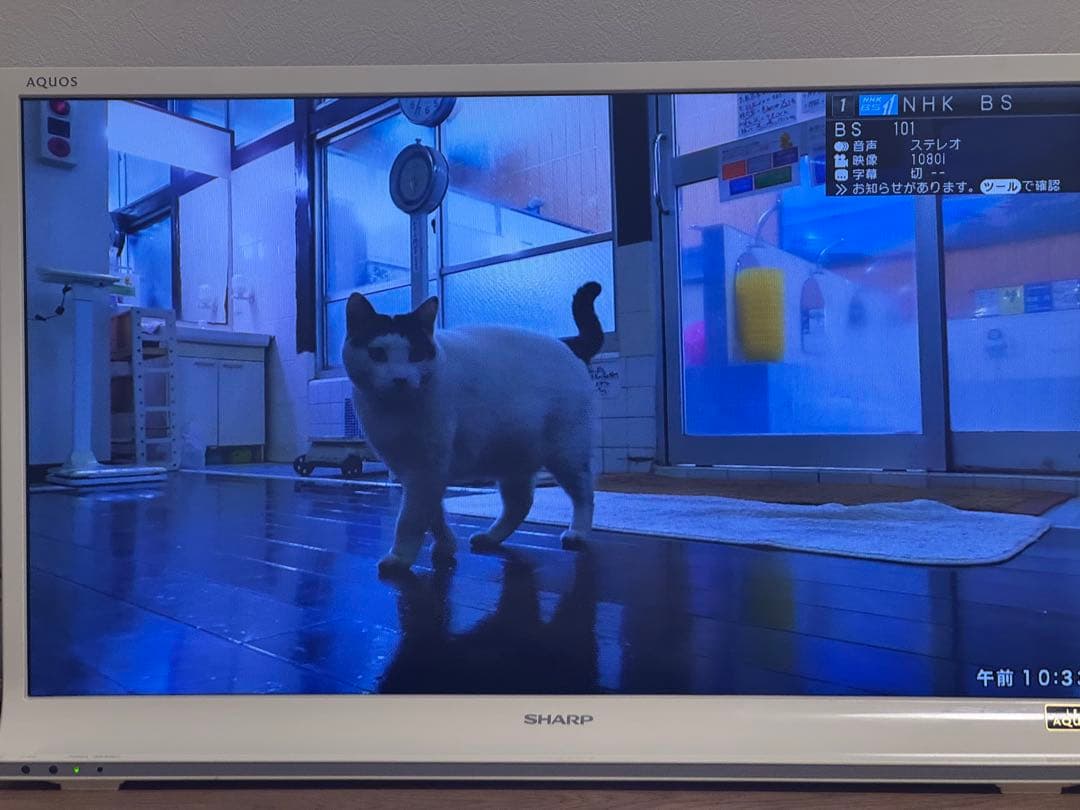 SHARP AQUOS LC-32J9-W 32インチ 液晶テレビ 32型