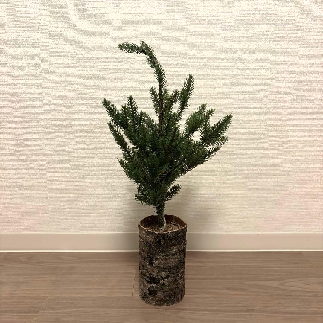 クリスマスツリー　ライト付き