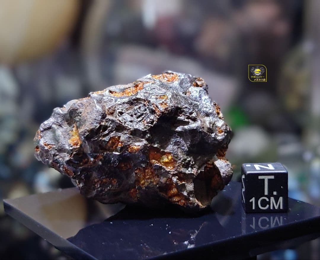 隕石 イミラック パラサイト 126.4g Imilac ⭐⭐⭐