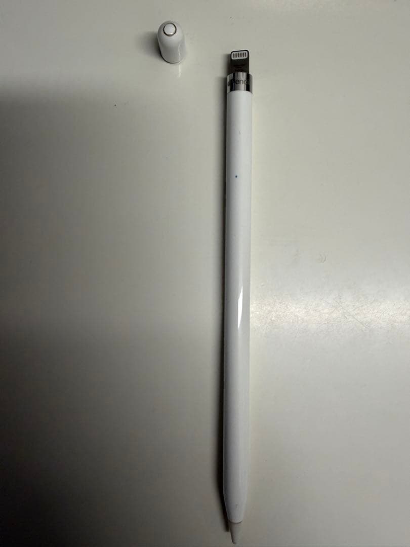 iPad mini 第5世代 256GB Cellular モデル ※ペン付き