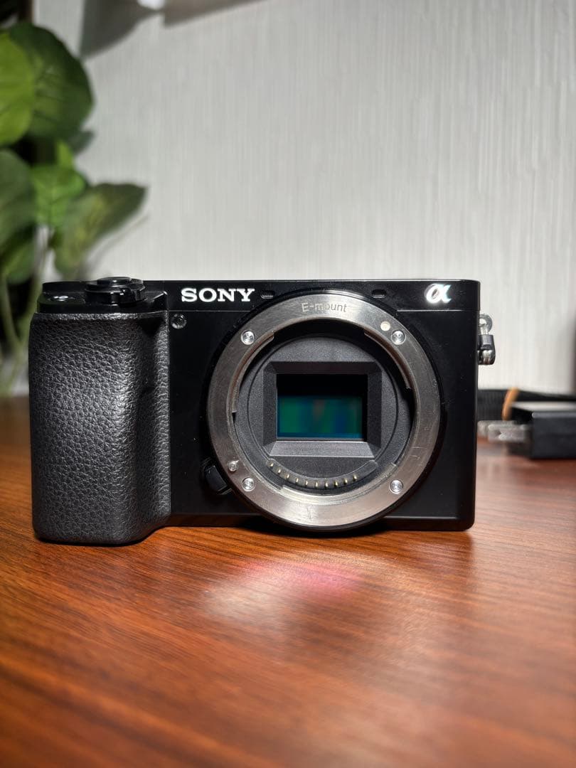 SONY ミラーレスカメラα6100本体+ズームレンズセット