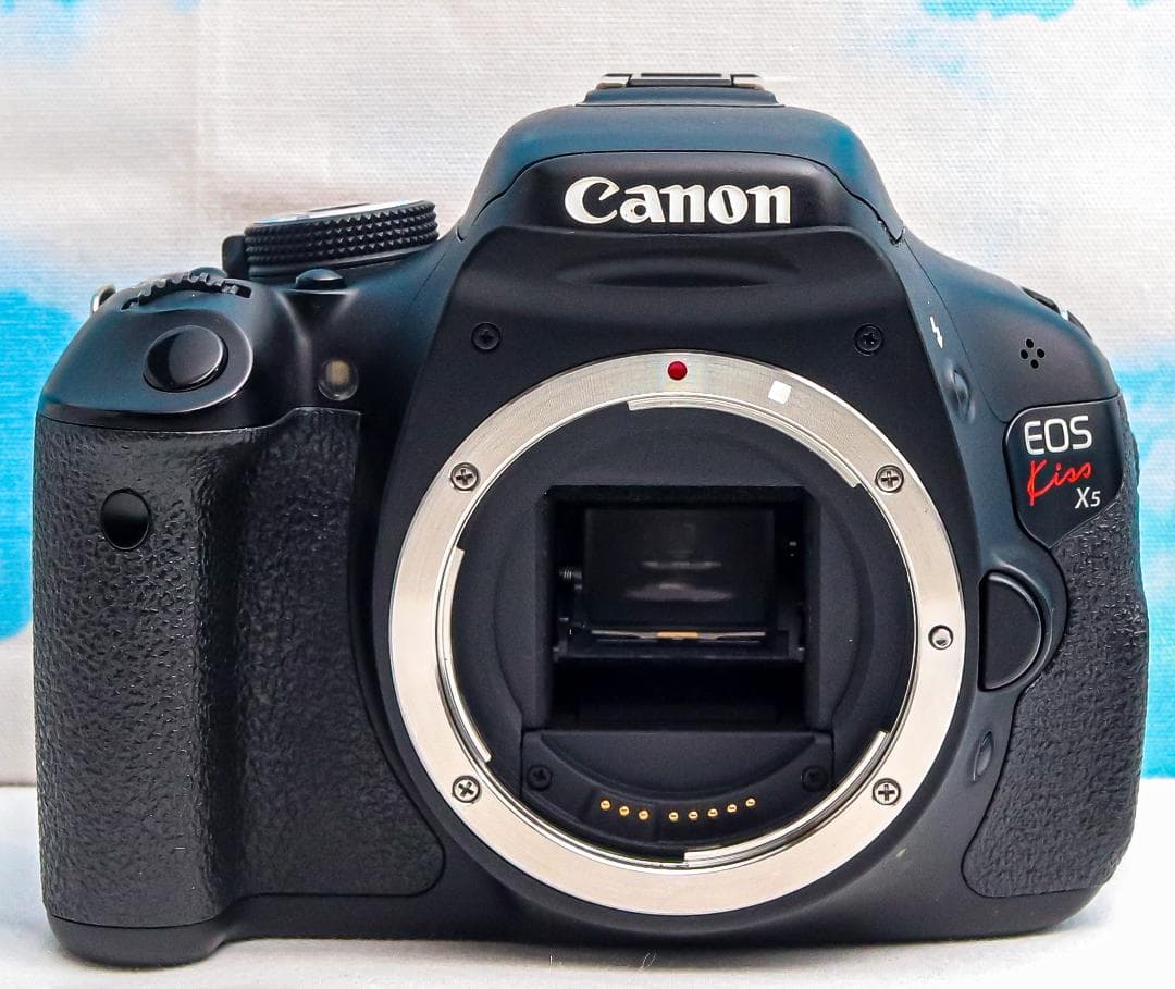 キャノン Canon kiss x5⭐️スマホに転送⭐️ダブルレンズ⭐初心者