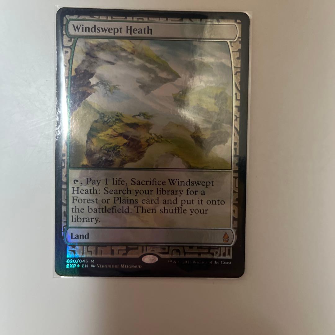 mela 湿地の干潟+吹きさらしの荒野