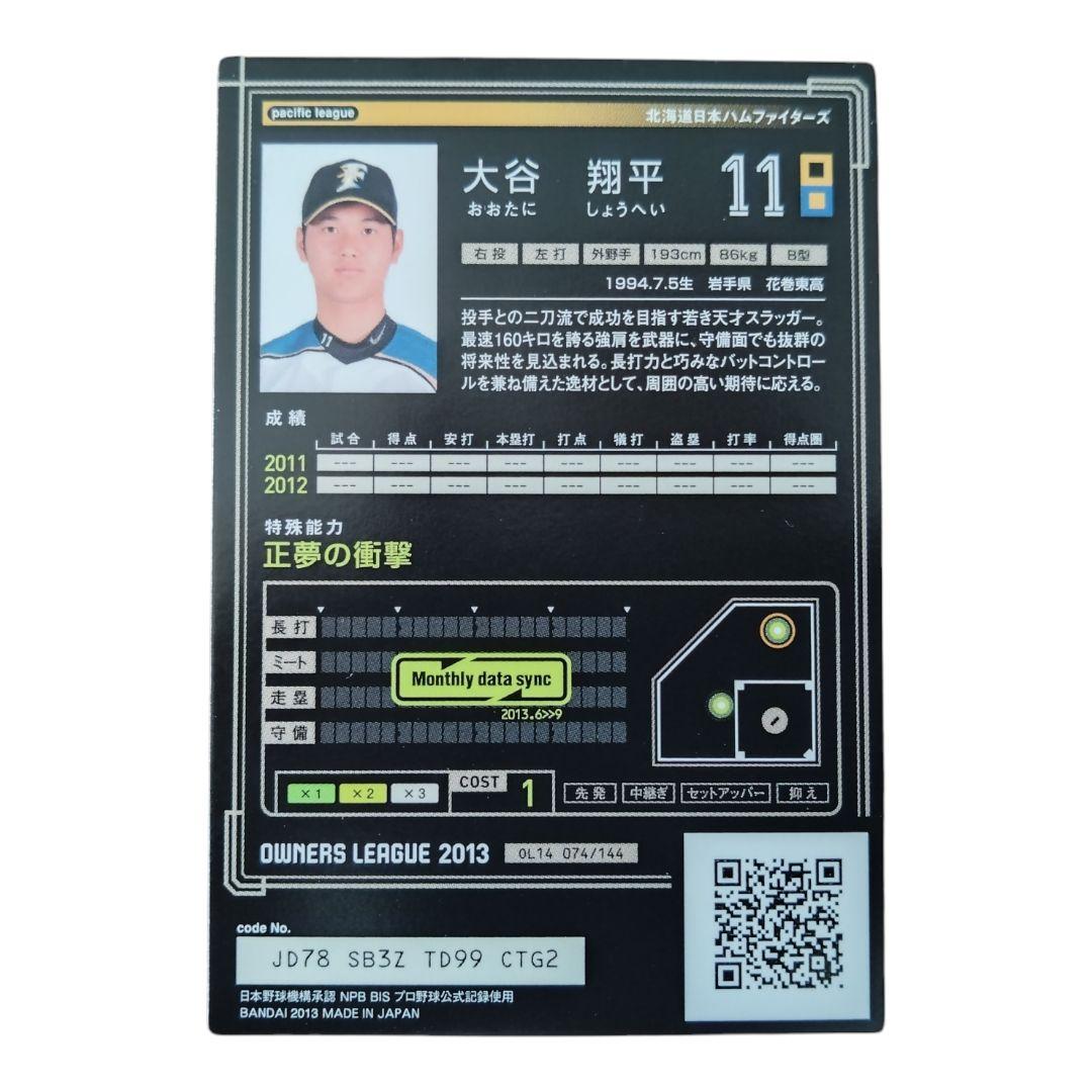 Owners League - SHOHEI OHTANI 大谷翔平 2013