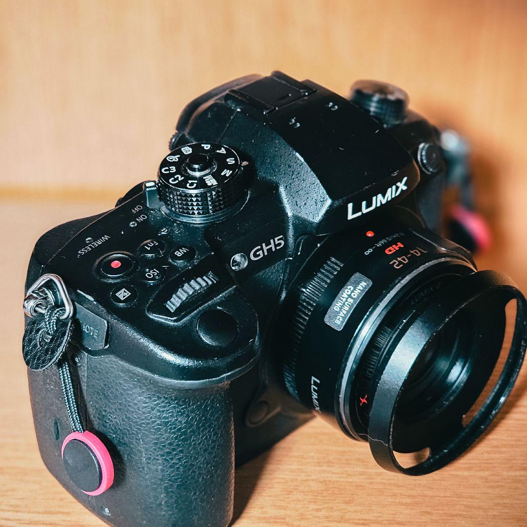 (専用)Lumix GH5/14-42mmレンズセット【vlogアプデ済み】