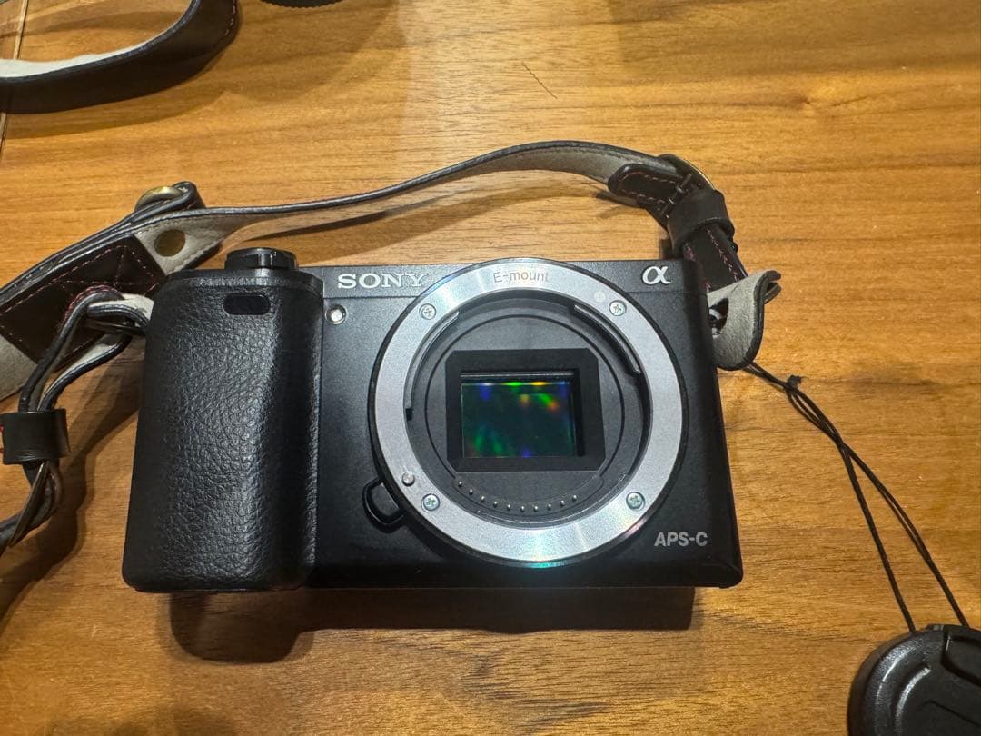 SONY α6000 ミラーレス一眼