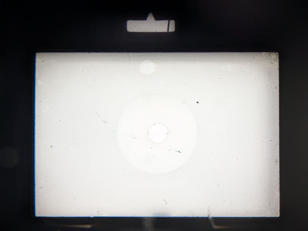 実用品！NIKON F フォトミック 50mmF1.4レンズセット