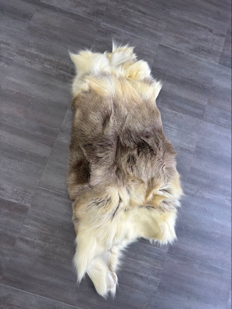 本物 トナカイ毛皮フィンランド製 毛皮ラグ Nordis Collection