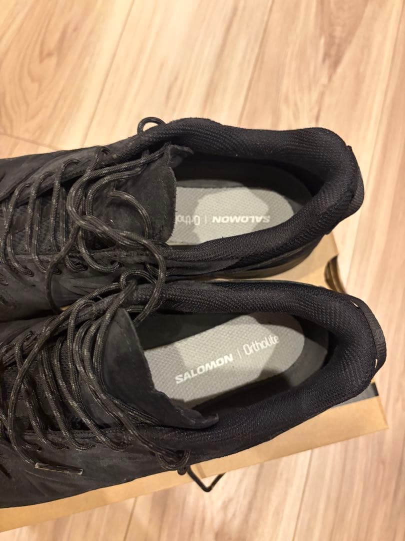靴 Salomon X-ALP Leather