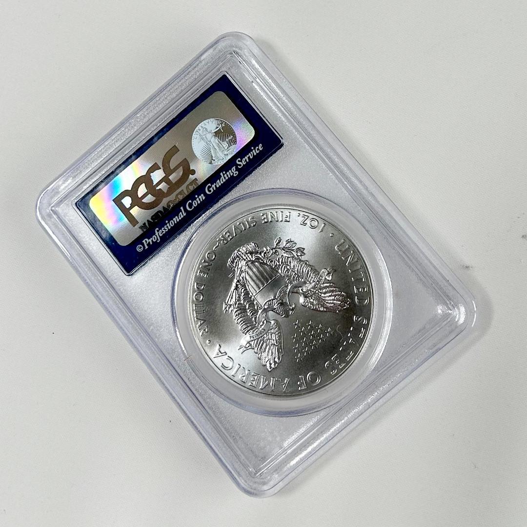 2013年 アメリカンイーグル PCGS MS70 　28258567