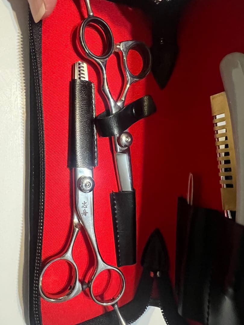 シーザーセット