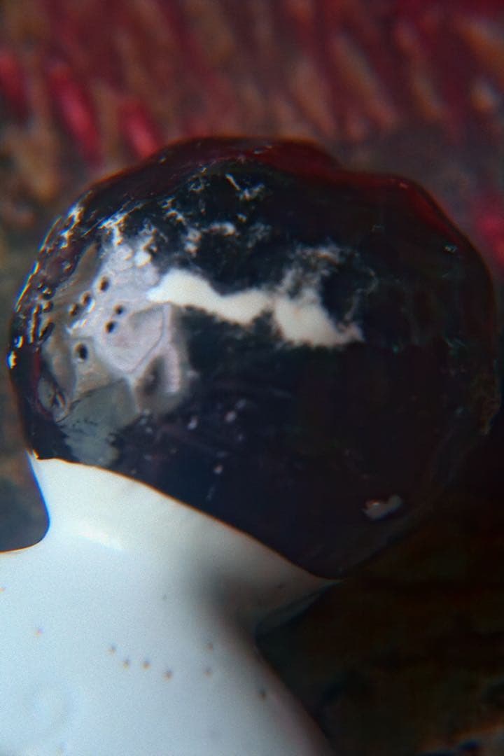 y*i様 アンティーク チャイナヘッドドール ビスクドール ドイツドール