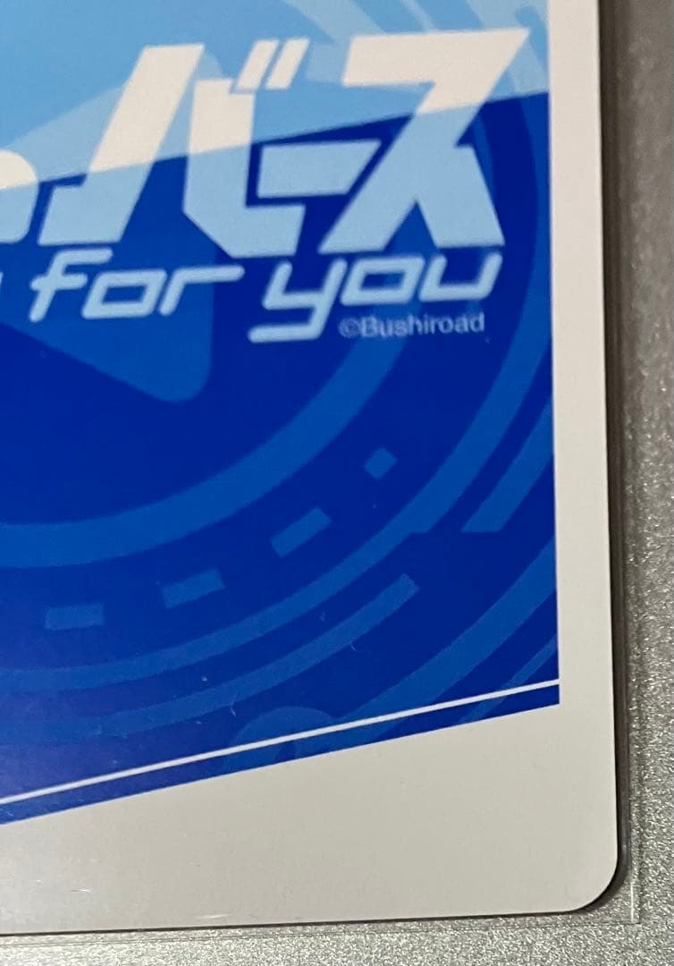 Reバース ブルーアーカイブ ブルアカ 任務中 ホシノ SNR シリアル