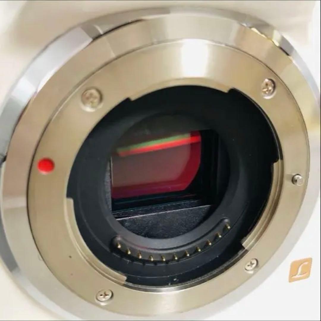 Panasonic DMC-G5W ミラーレス一眼 ホワイト