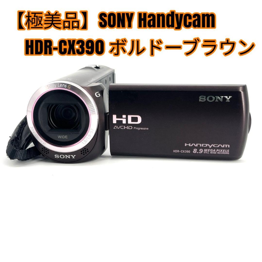 【極美品】SONY Handycam HDR-CX390 ボルドーブラウン