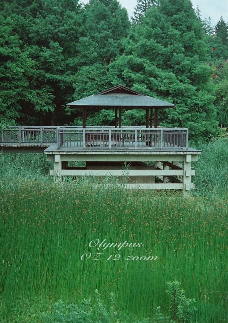 フィルムカメラ入門に★オリンパス oz120zoom★超美品＊完動品＊初期保証付