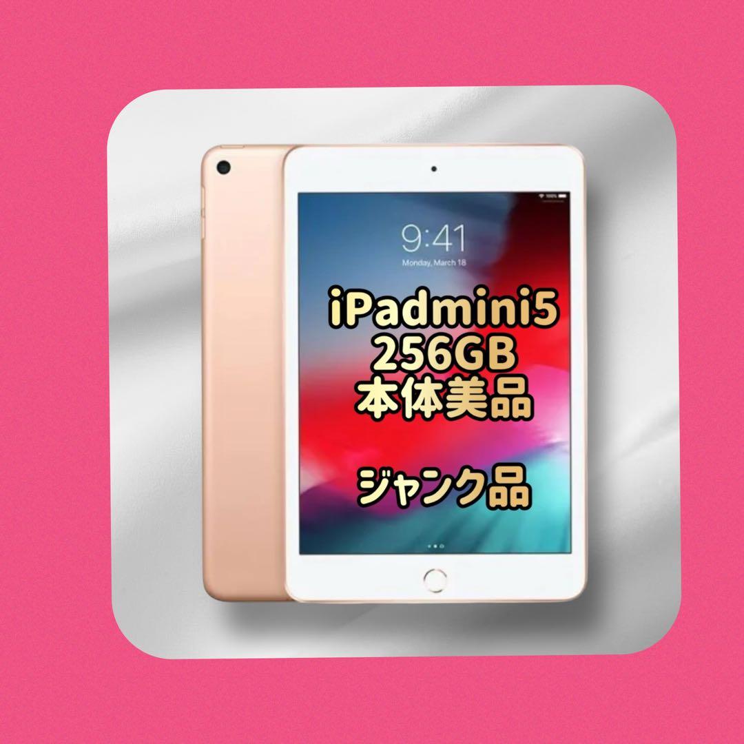 【ジャンク】Apple iPad mini (第5世代) 256GB