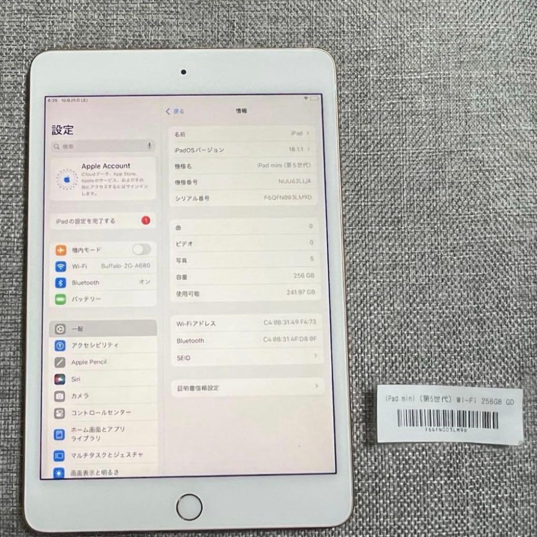 【ジャンク】Apple iPad mini (第5世代) 256GB