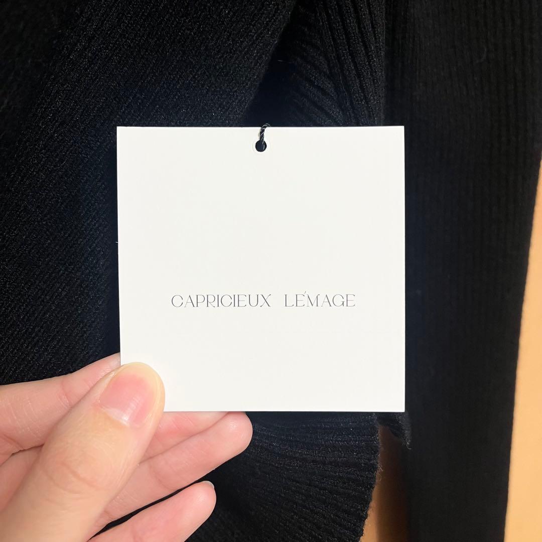 【新品未使用】　クロスVネックニット CAPRICIEUX LE'MAGE