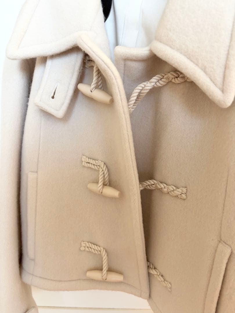 スナイデル　ウールシャギーショートダッフル　0サイズ