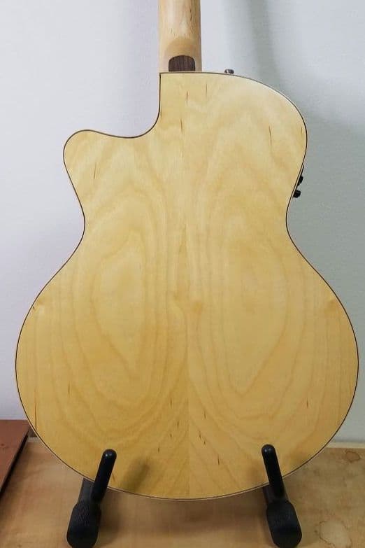 Seagull エレアコ ギター ハードケース入り