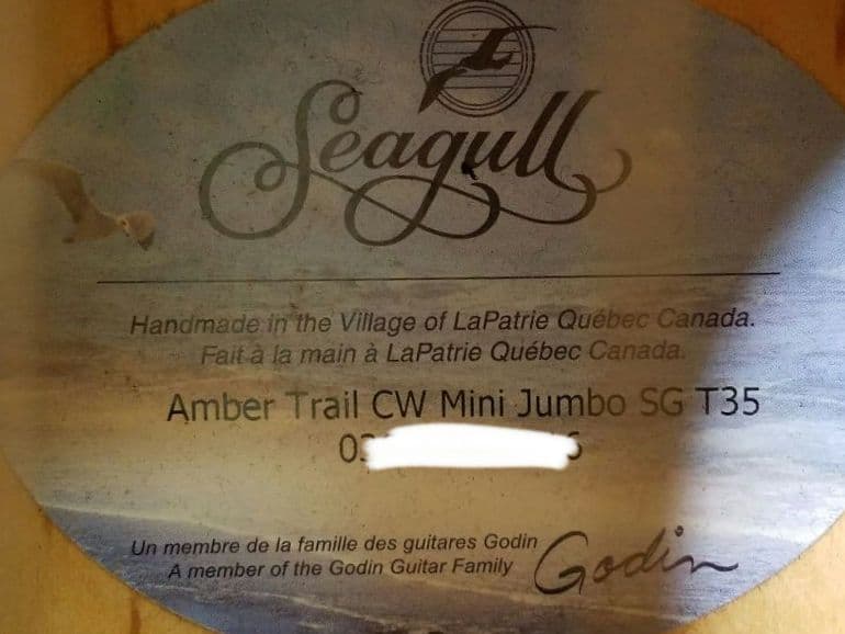 Seagull エレアコ ギター ハードケース入り