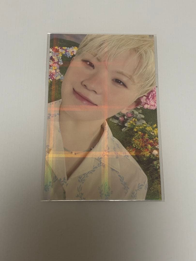 ウジ sector17 ラキドロ