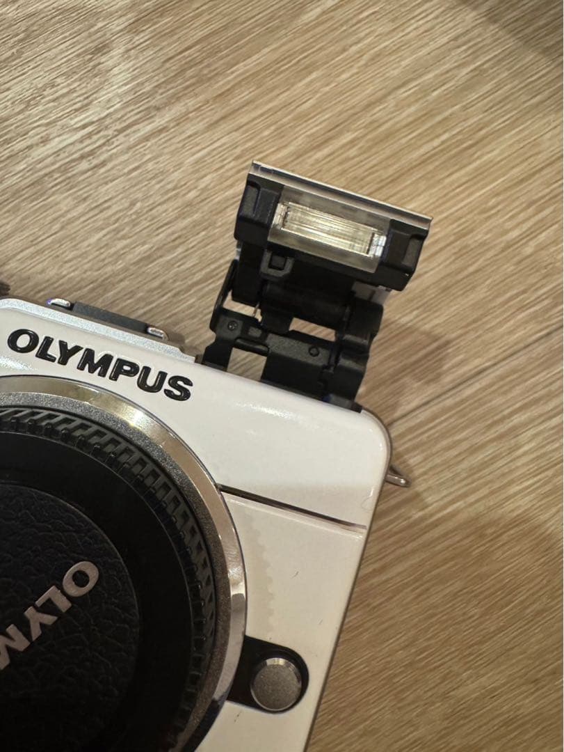 オリンパス　OLYMPUS PEN Lite E-PL1