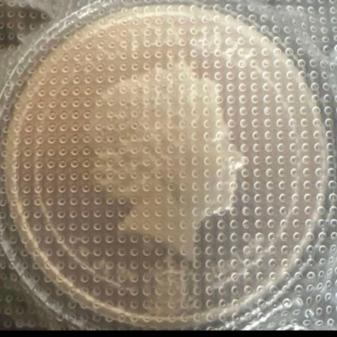 ラスト1点　2023年　サモア　九尾の狐銀貨　1オンス　カプセル付き