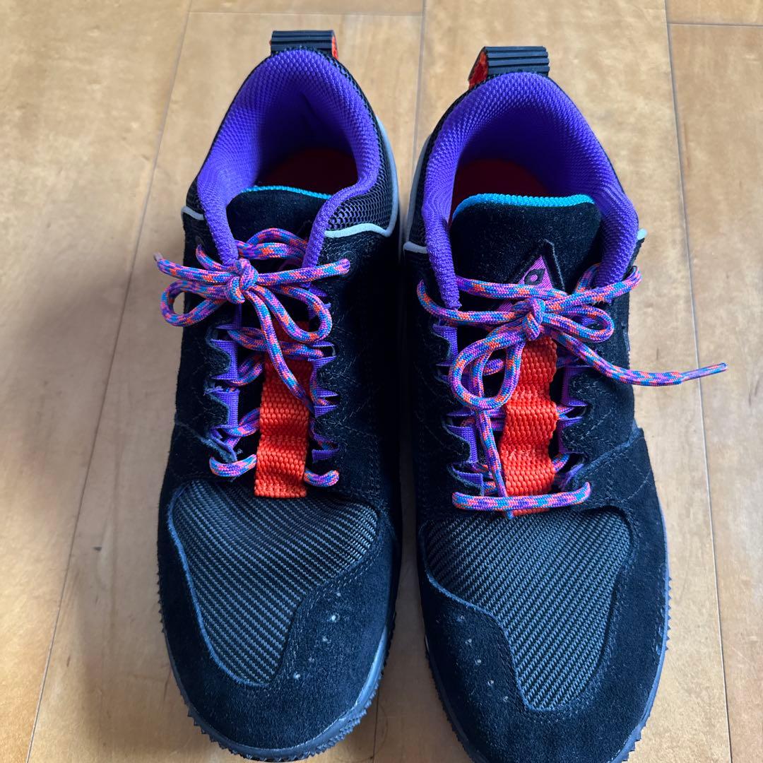 【みたらし】NIKE ACG DOG MOUNTAIN 27cm