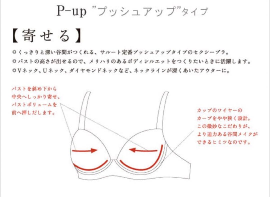 【サルート】希少G65 《新品》日本の花嫁03G プッシュアップブラソングセット