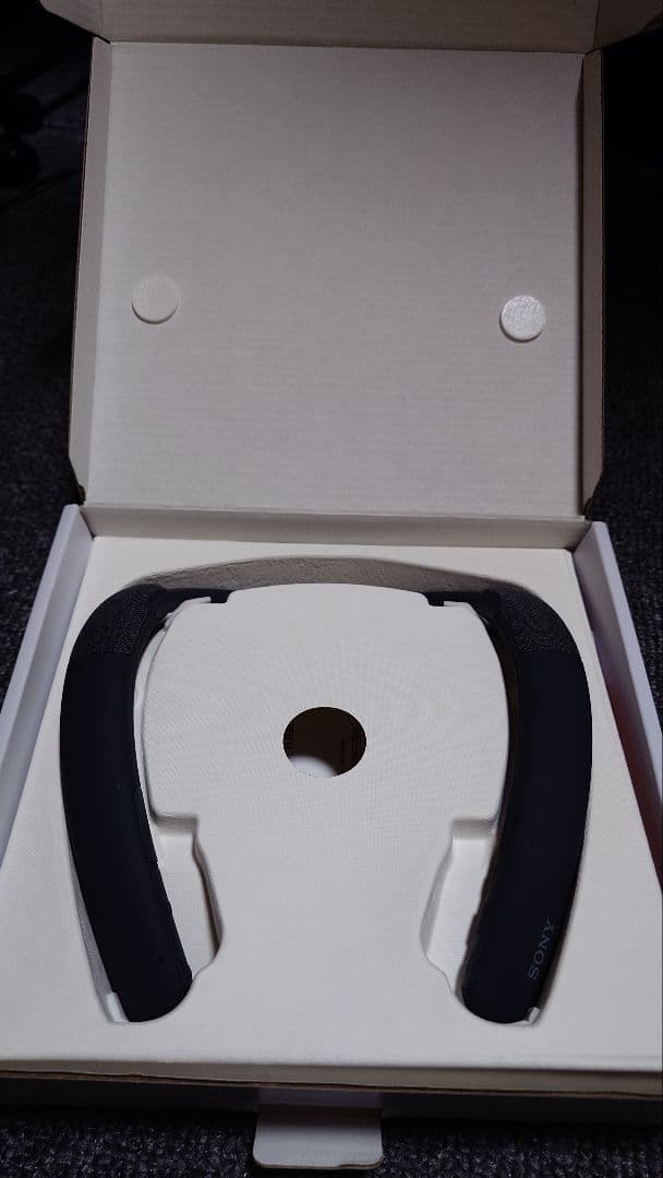 SONY SRS-NB10 チャコルグレー