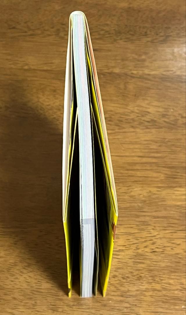 レスリングが、総合格闘技がメキメキ強くなる これが木口式トレーニングだ!!