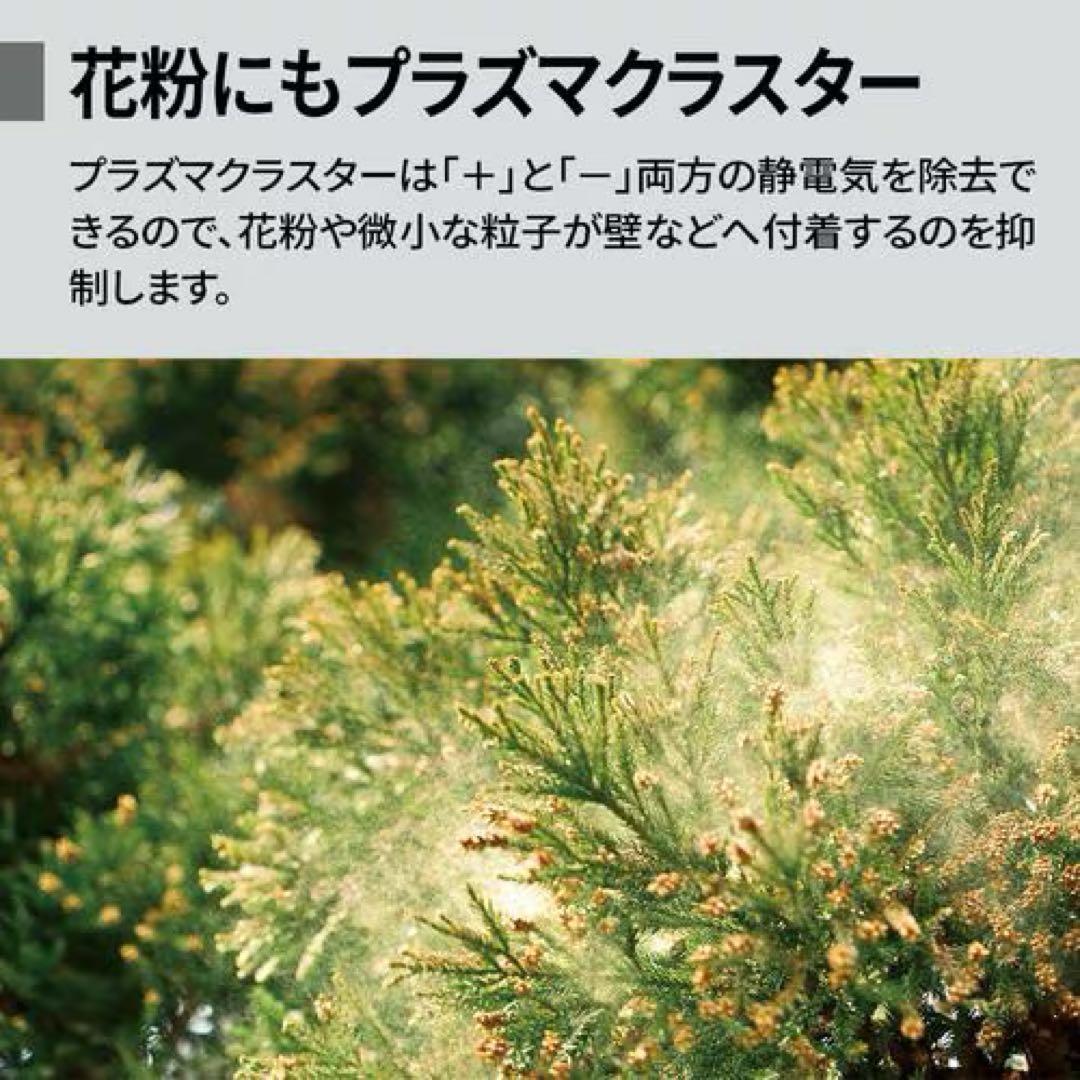 SHARP FU-T40-H 空気清浄機 [新品未使用]