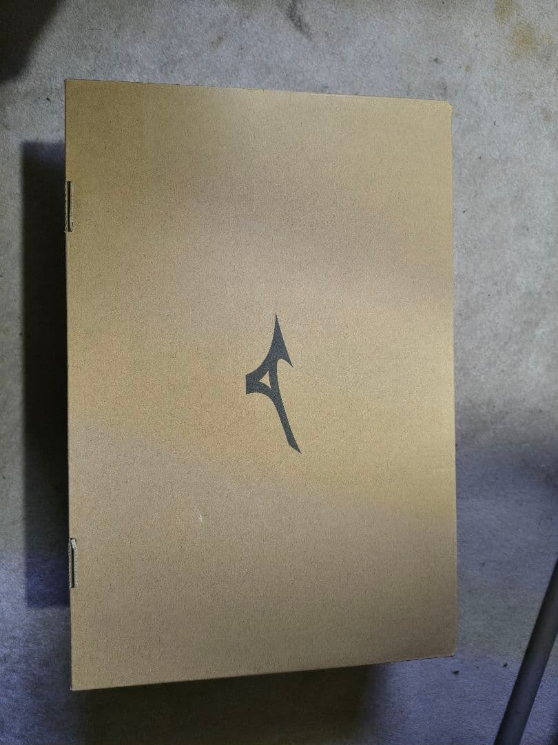 Mizuno 安全靴 FGA18844 28.0 cm　スノーシューズ