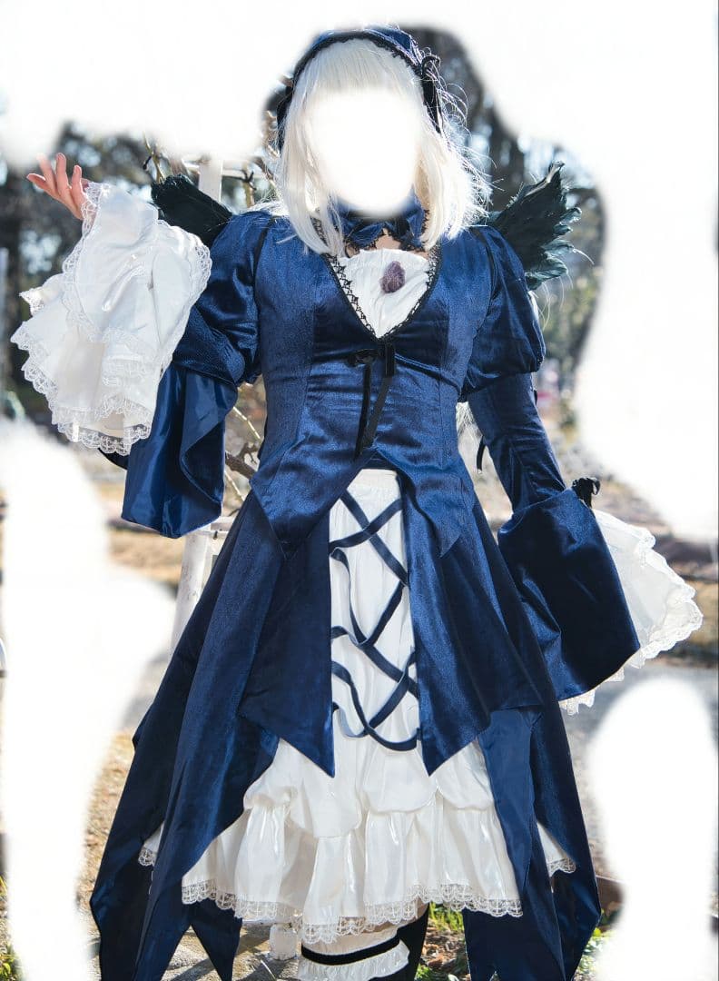 1/23 15時まで 水銀燈　ローゼンメイデン コスプレ衣装+ウィッグ+羽