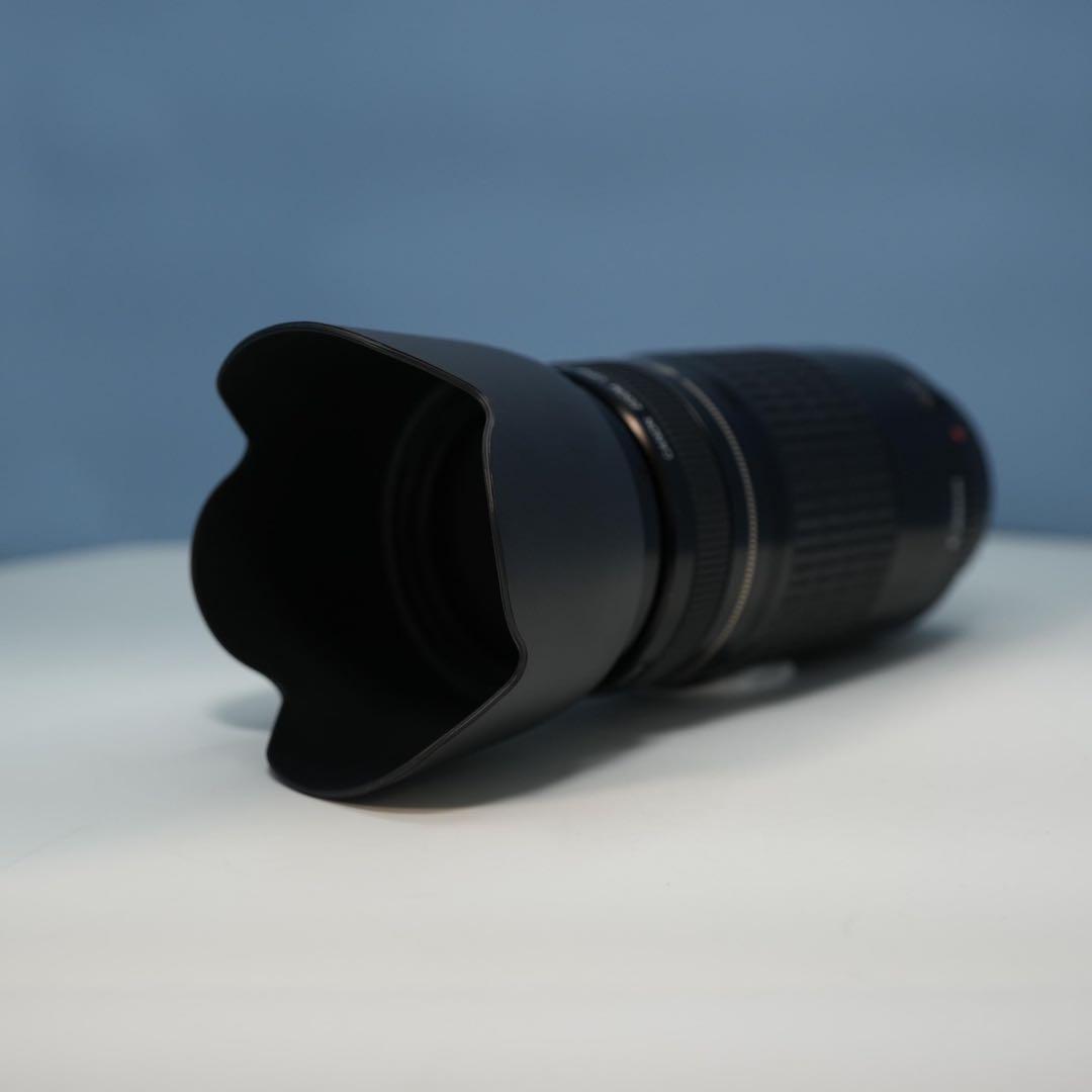 Canon純正 75-300mm 望遠レンズ a3651