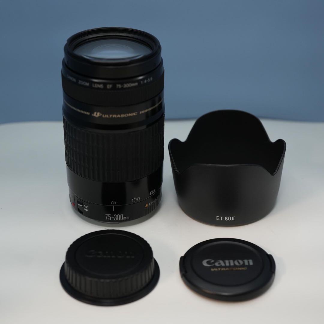 Canon純正 75-300mm 望遠レンズ a3651