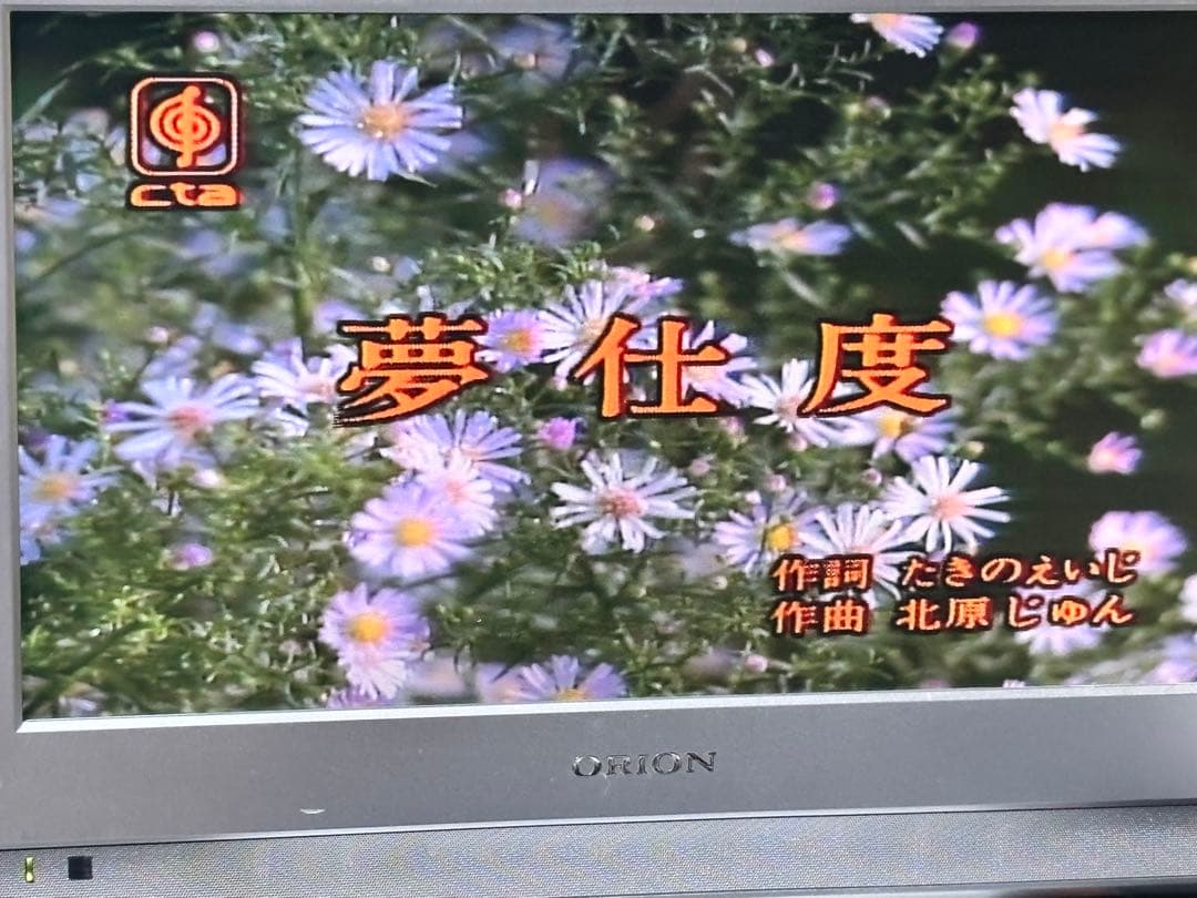 レーザーカラオケ システム LK-P11 パイオニア マイク2本 ソフト6本付き