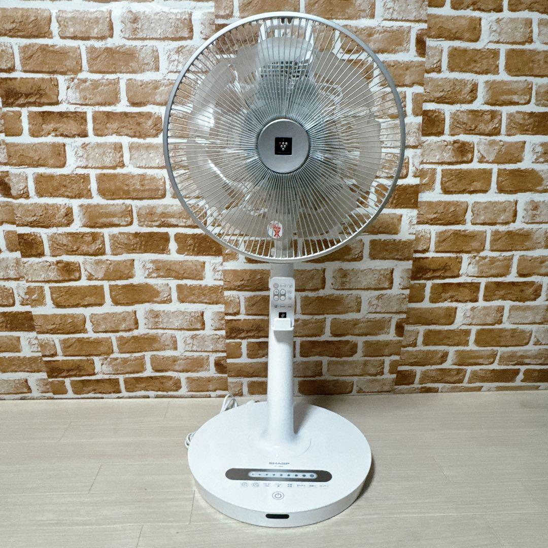 SHARP リビングファン PJ-J3DG プラズマクラスター　扇風機　シャープ