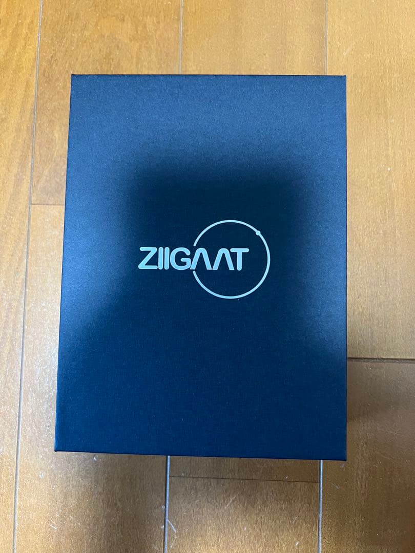 ZIGGAAT ARETE 1DD+4BA ハイブリッドIEM