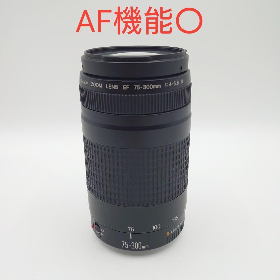 Canon EF 75 300mm 4 5.6 Ⅱ　 ズームレンズ
