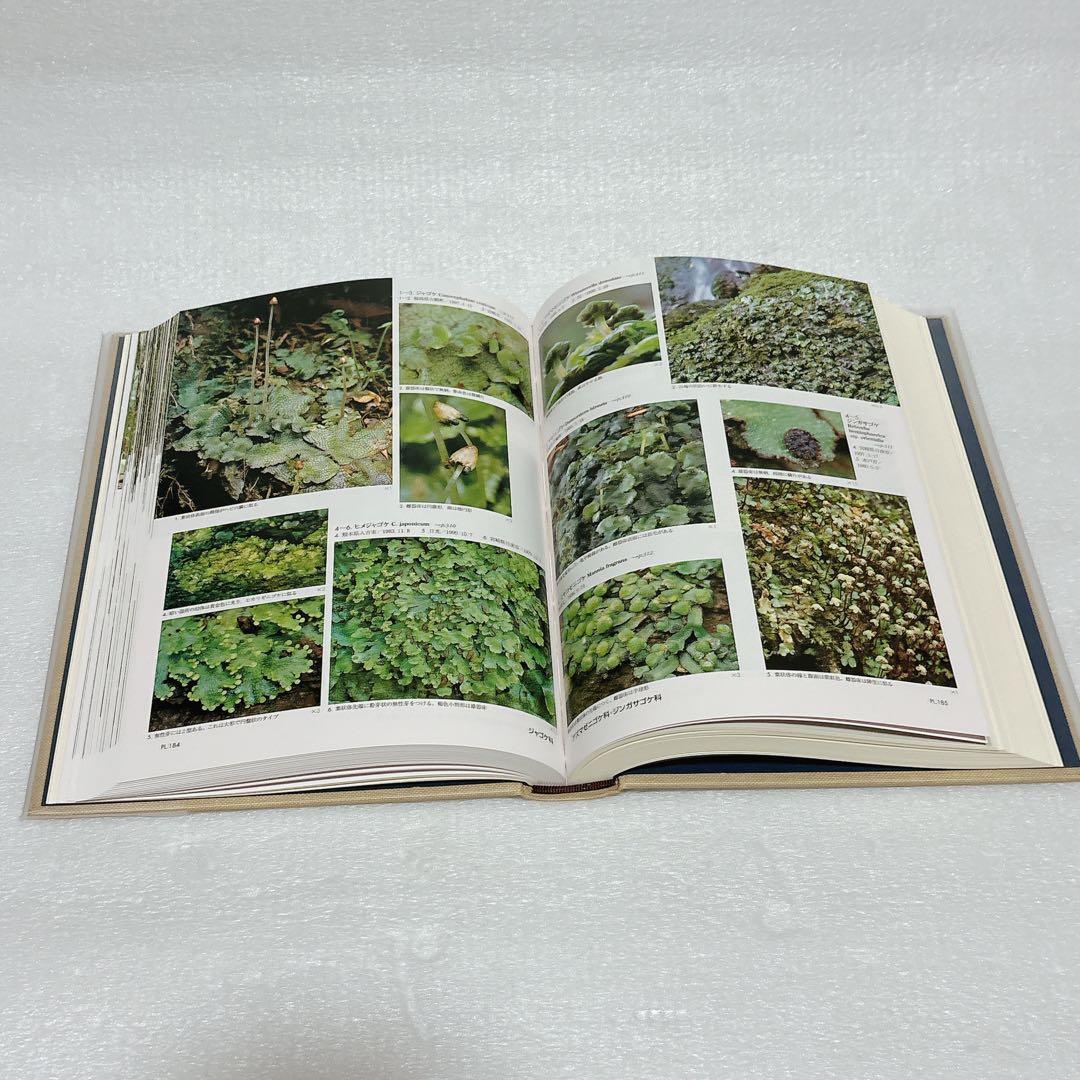 日本の野生植物 コケ 岩月善之助