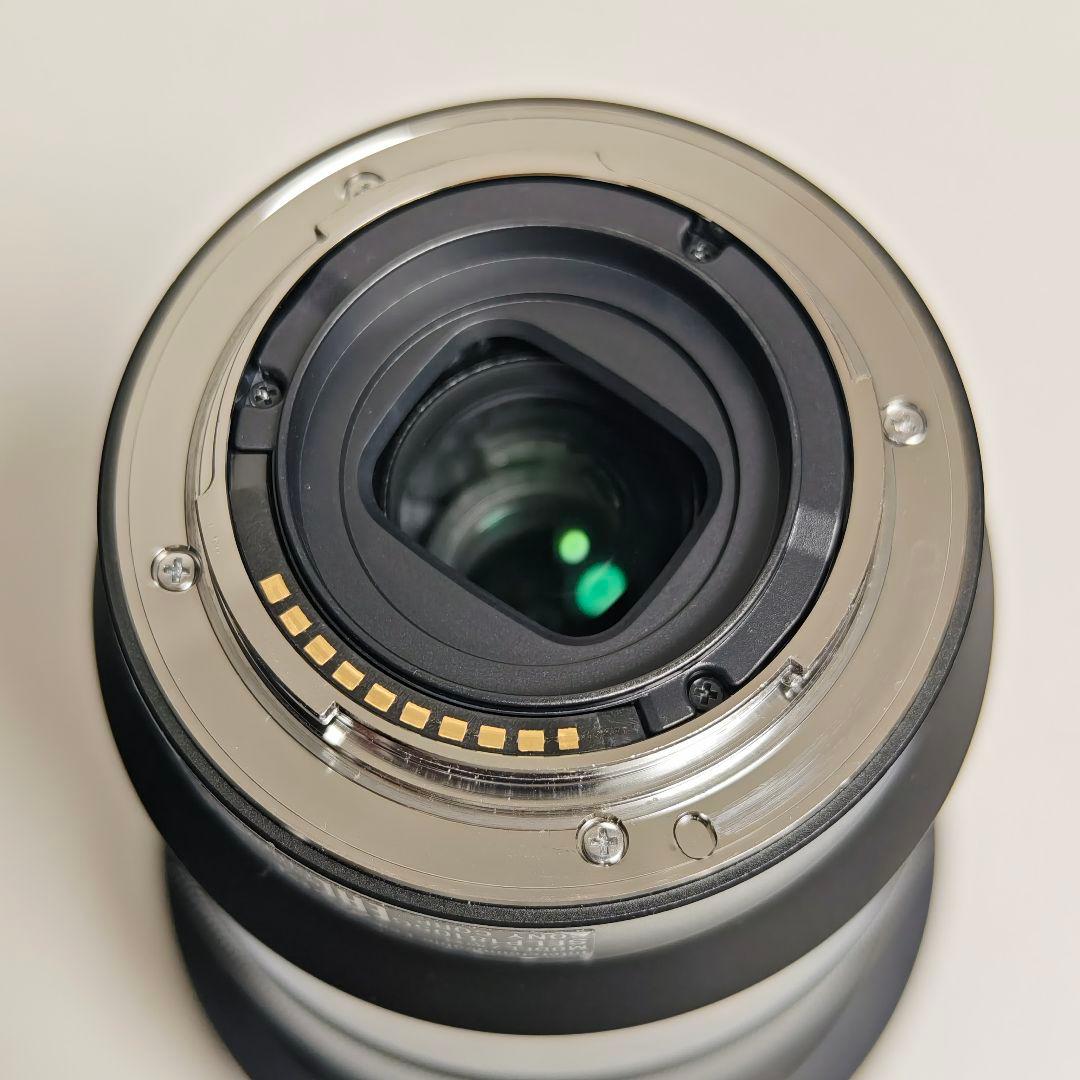 SONY APS-C用電動ズームレンズ SELP18105G