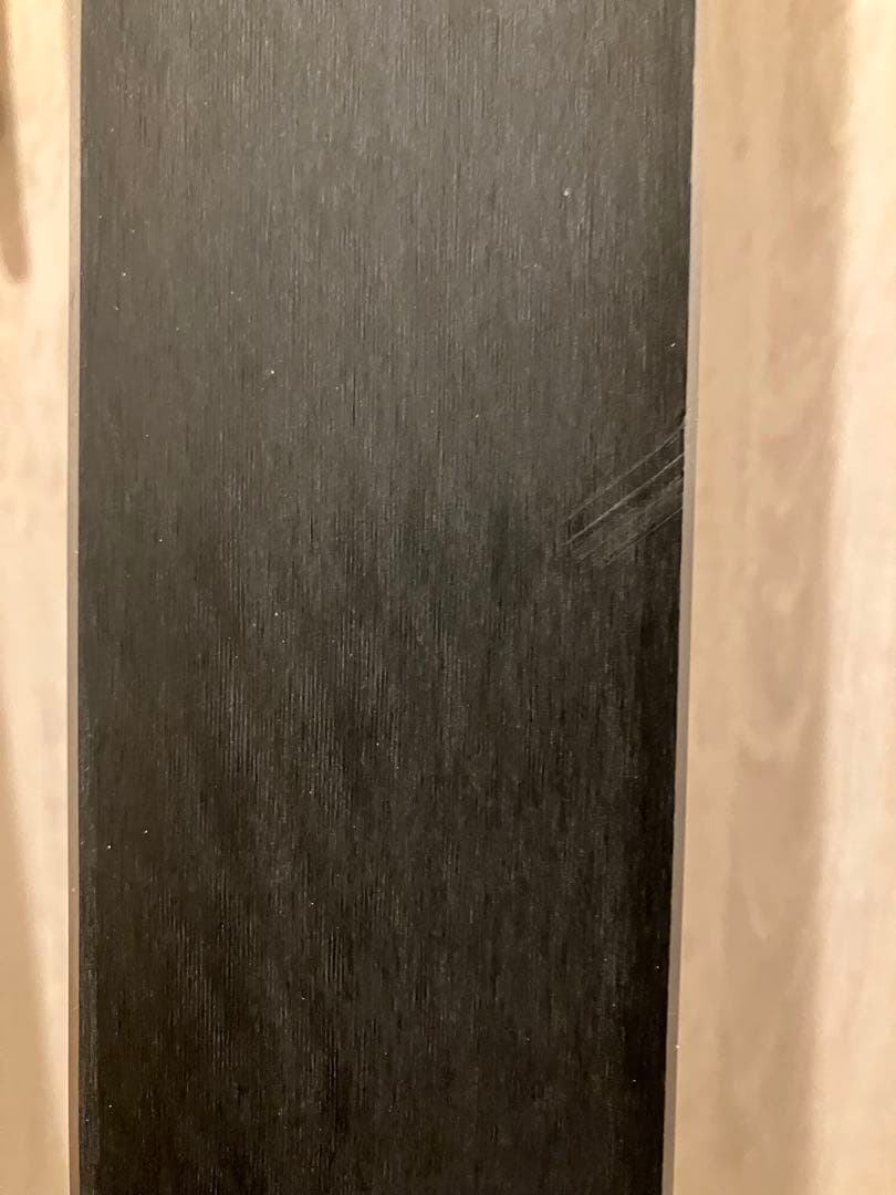 スキー 22-23 FISCHER RC4 GS MASTERS 189cm R27