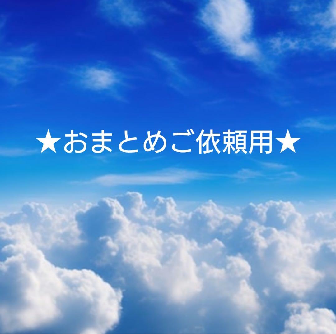 jwkn 値下げ交渉ok様 リクエスト 7点 まとめ商品