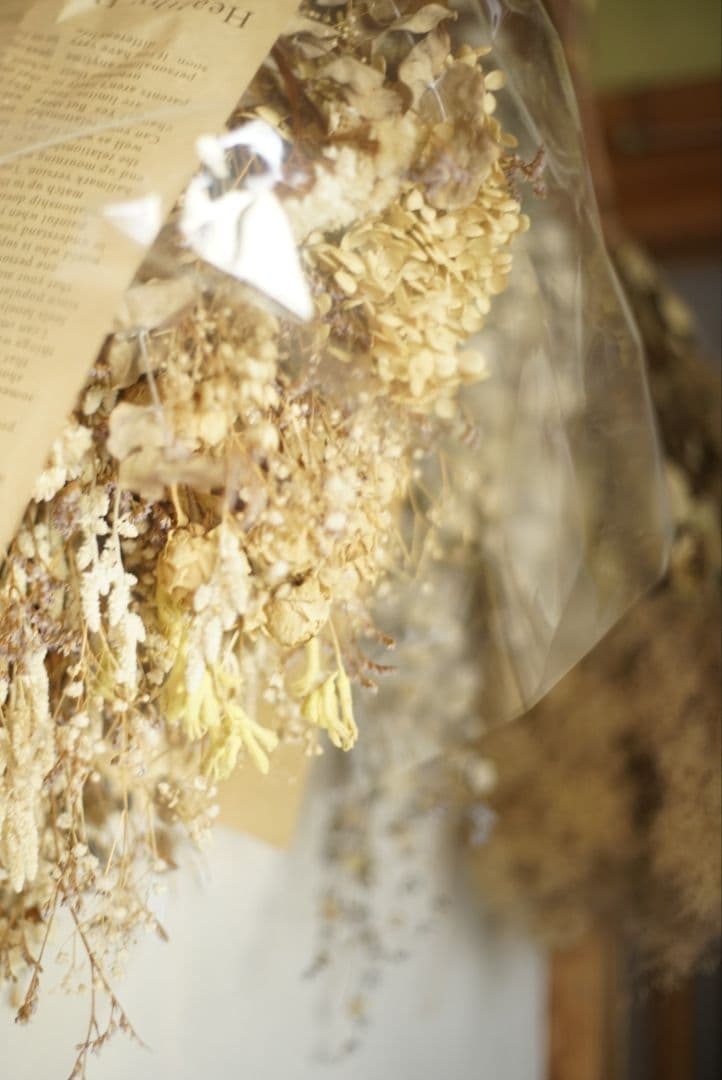 Pentax SMC PENTAX-M 50mm f/1.7 単焦点レンズ